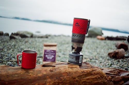 Free stock photo of 35mm film, beach tea, bodhi tea