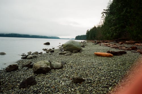 Free stock photo of 35mm film, gloomy sky, rocky beach