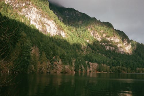 Бесплатное стоковое фото с вечнозеленый, водоем, гора