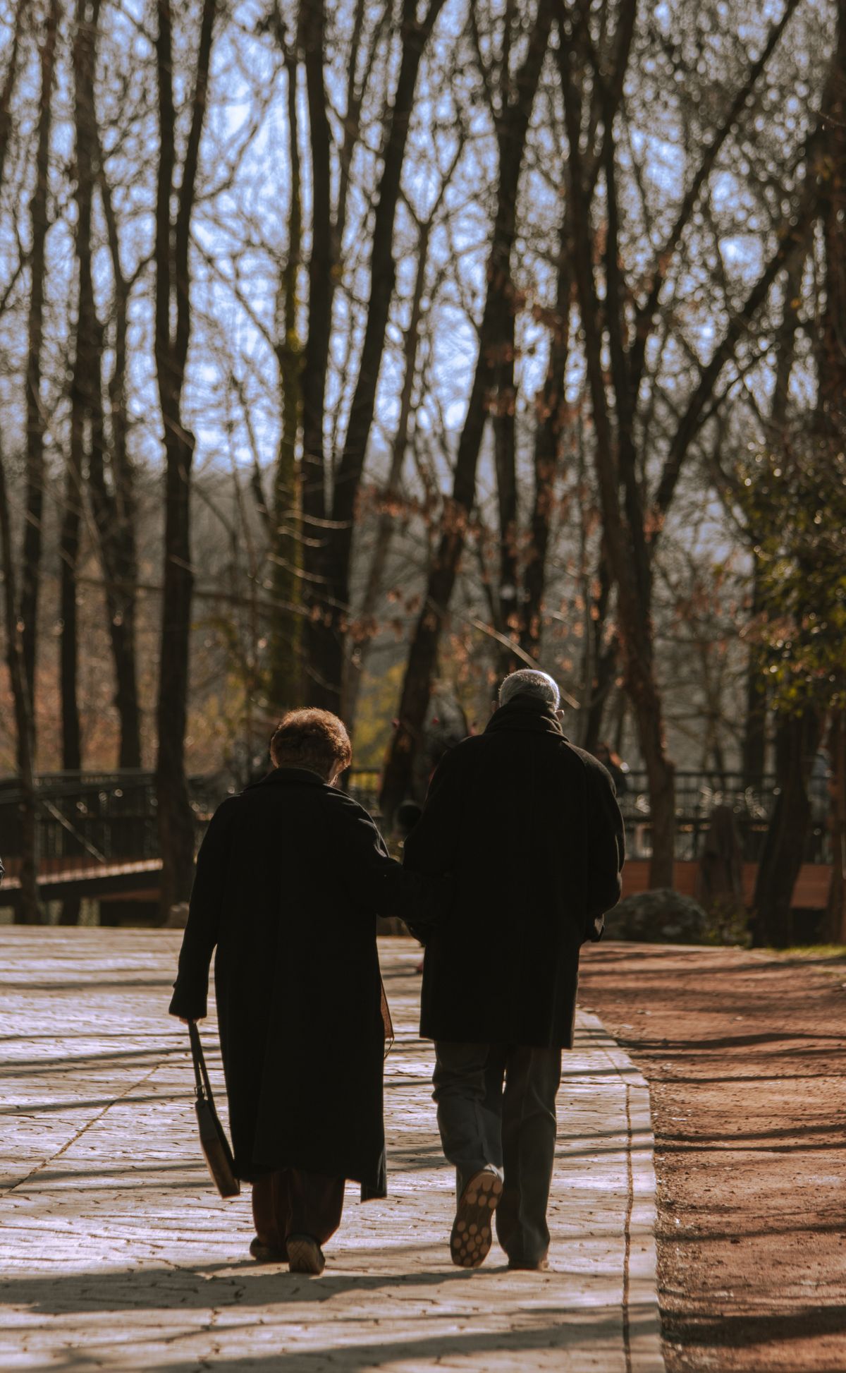 Senior couple walking together along a tree-lined park path