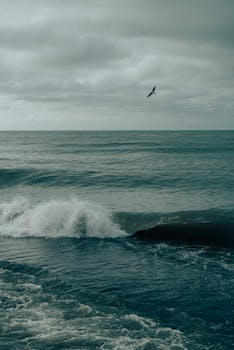 A tranquil seascape featuring moody skies, waves, and a flying bird