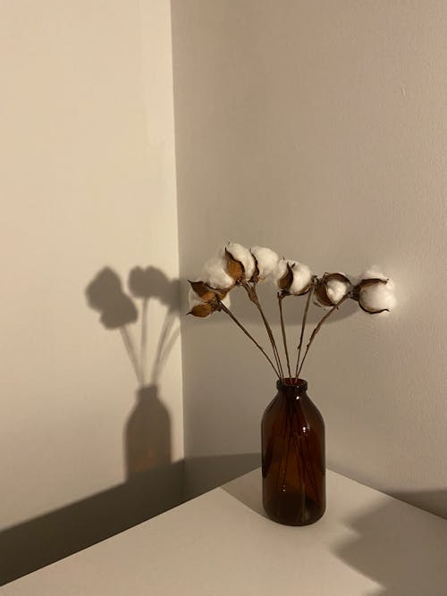 White Moth Orchids in Brown Vase on Table