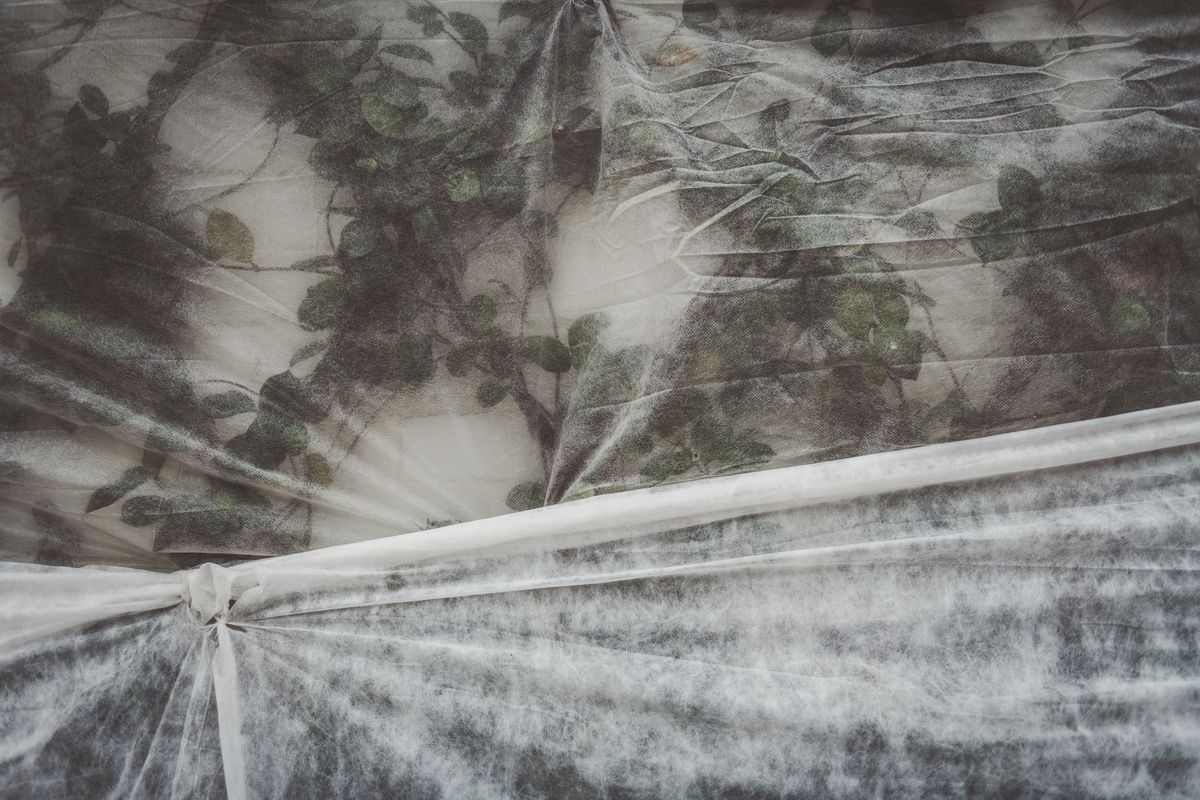 packing service in Middlezoy — Loaded properly: blankets, straps and a plan in Middlezoy