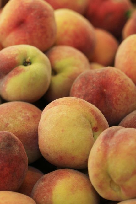 Fresh peaches clustered together showing varied ripeness and natural coloring`