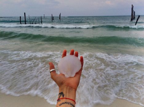 Tattooed hand holding a seashell by the shore, waves in the background creating a serene coastal scene.