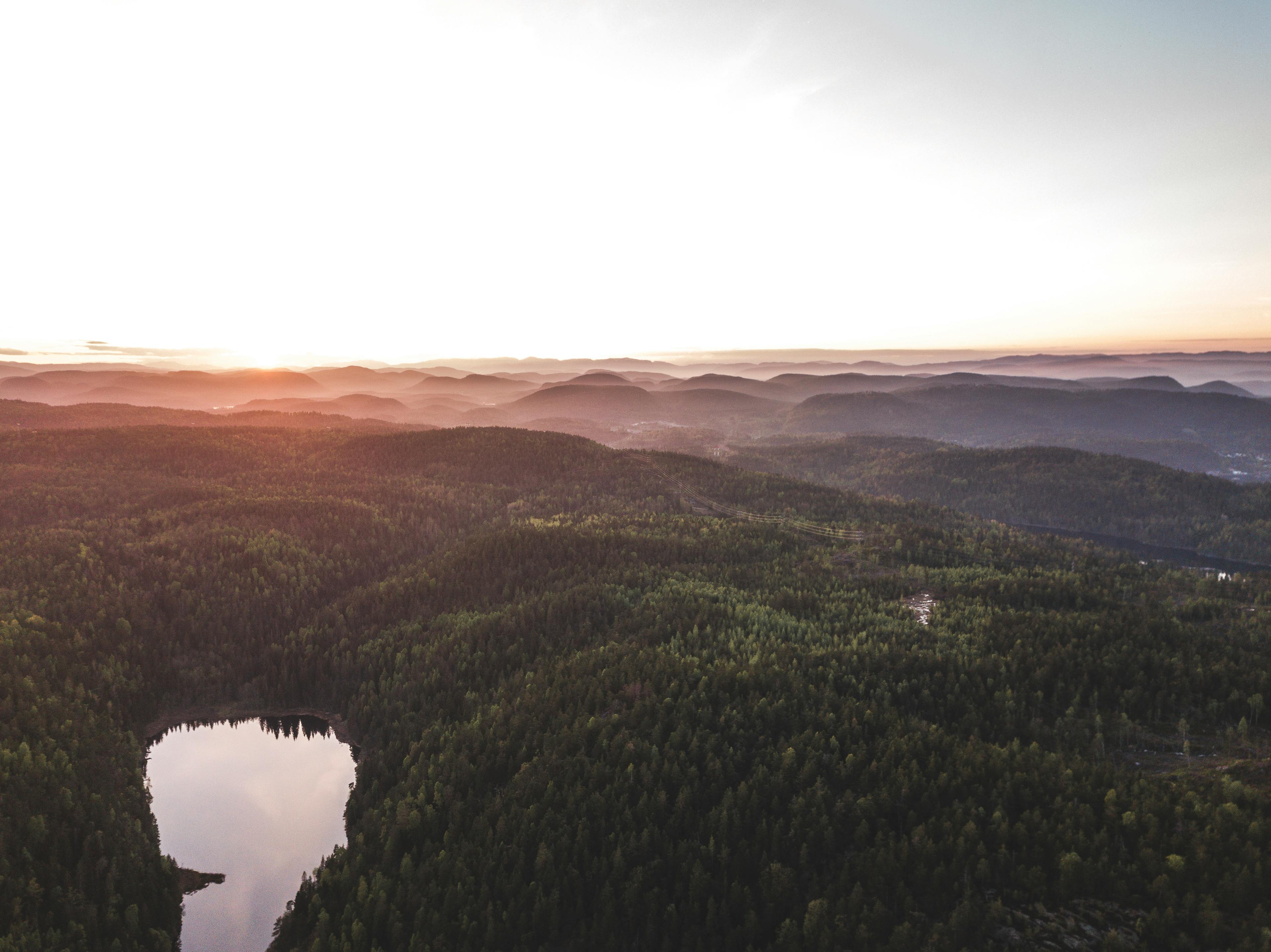 日落时分，湖面倒映着薄雾笼罩的宁静森林，一幅令人惊叹的鸟瞰图被捕捉下来