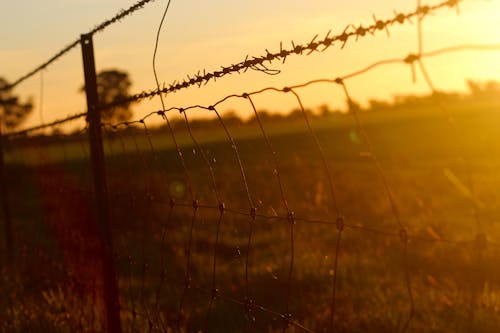 Free Black Chain Link Metal Fence in Grass Field Stock Photo