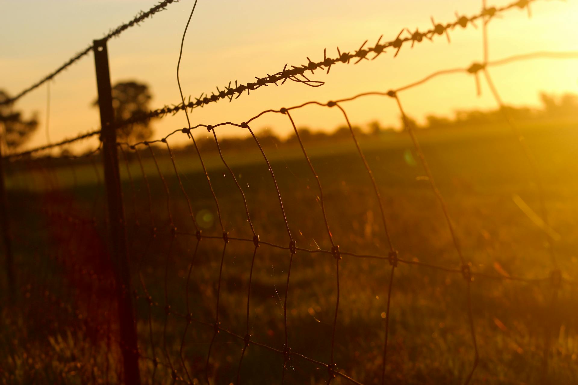 Black Chain Link Metal Fence in Grass Field