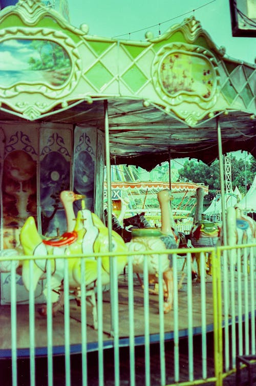 Carousel in Amusement Park