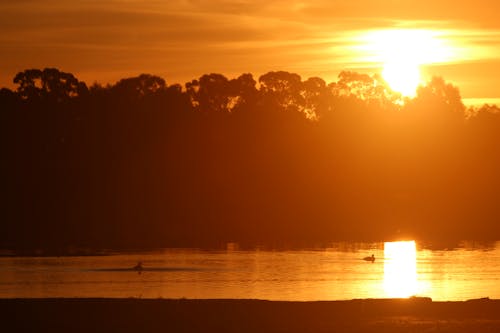 Foto profissional grátis de água, árvores, barragem