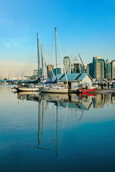 Peaceful marina scene with sailboats and city skyline reflecting in calm blue waters.