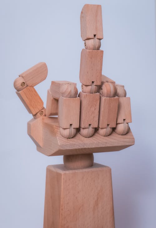 Ingyenes stockfotó fából készült kéz, középső ujj témában