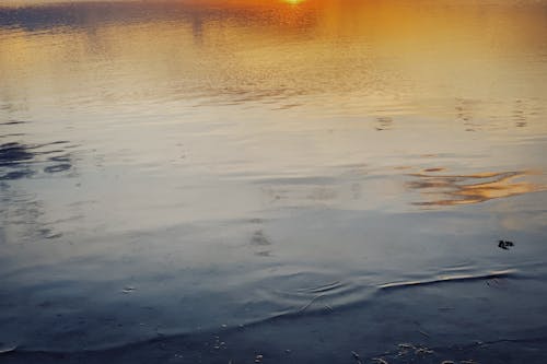 Základová fotografie zdarma na téma h2o, jezero, klidná voda