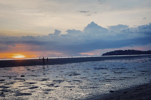 People Walking in the Beach During Sunset