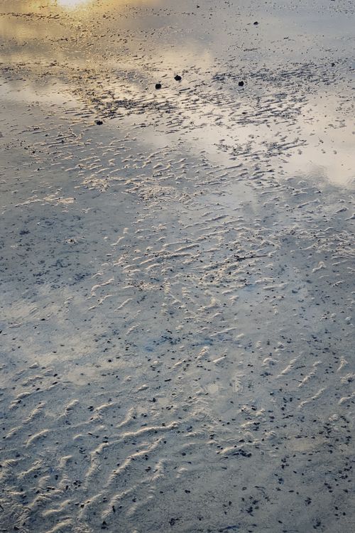 Free Peaceful beach reflection of sunset clouds on wet sands, capturing serene ambiance. Stock Photo
