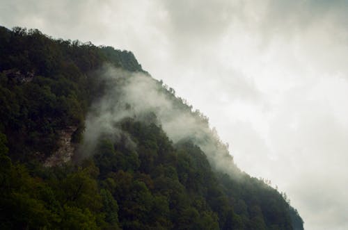 Gratis stockfoto met berg, bergbos, bewolkt Stockfoto