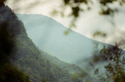 Free Serene view of misty, forested mountains in Arkhyz, Russia, showcasing lush greenery. Stock Photo