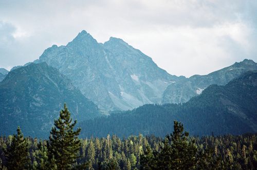 Free A breathtaking view of the majestic mountains in Arkhyz, Russia with lush green forests. Stock Photo