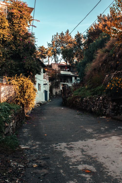 Free Quaint street in İzmir, Turkey with vibrant foliage and rustic buildings. Stock Photo