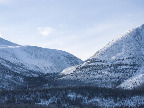 Ücretsiz buz, buz tutmuş, dağlar içeren Ücretsiz stok fotoğraf Stok Fotoğraflar