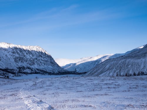 Foto d'estoc gratuïta de camp, cel blau, cobert de neu