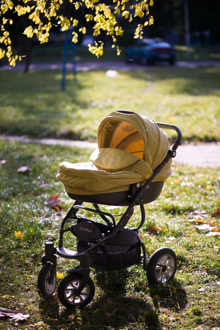 Empty Stroller On Grass