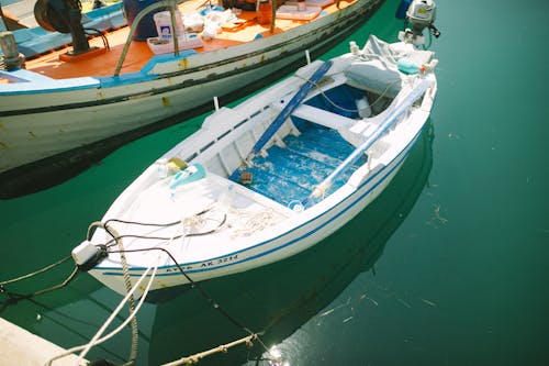 White and Blue Boat on Body of Water