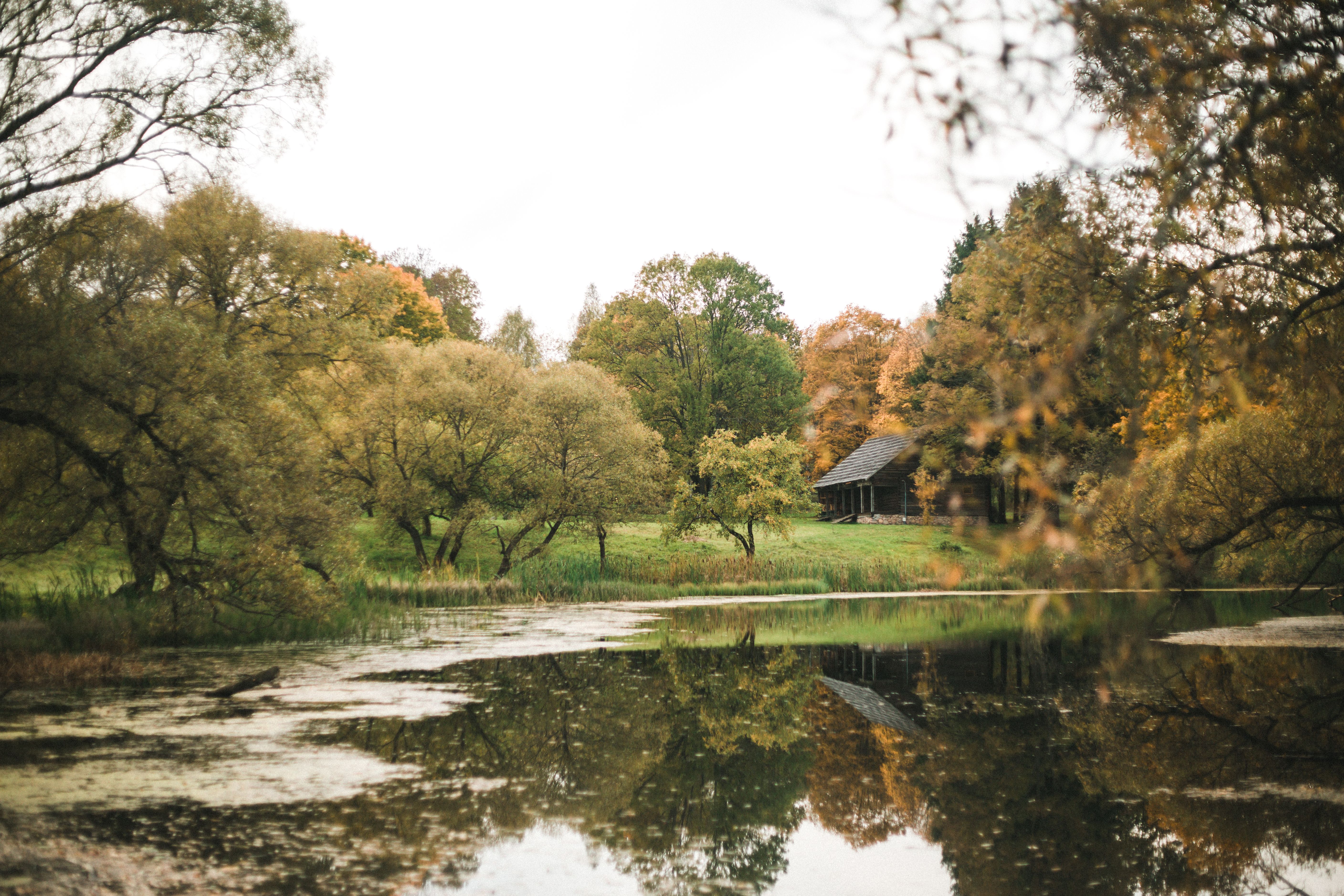 Brown House Near Green Trees and River · Free Stock Photo