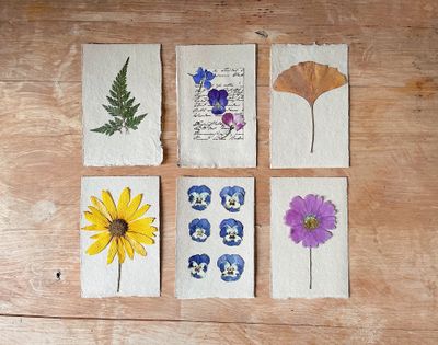 Pressed flower herbarium cards laid out on a pale wooden table — photo by Merve Bayar on Pexels