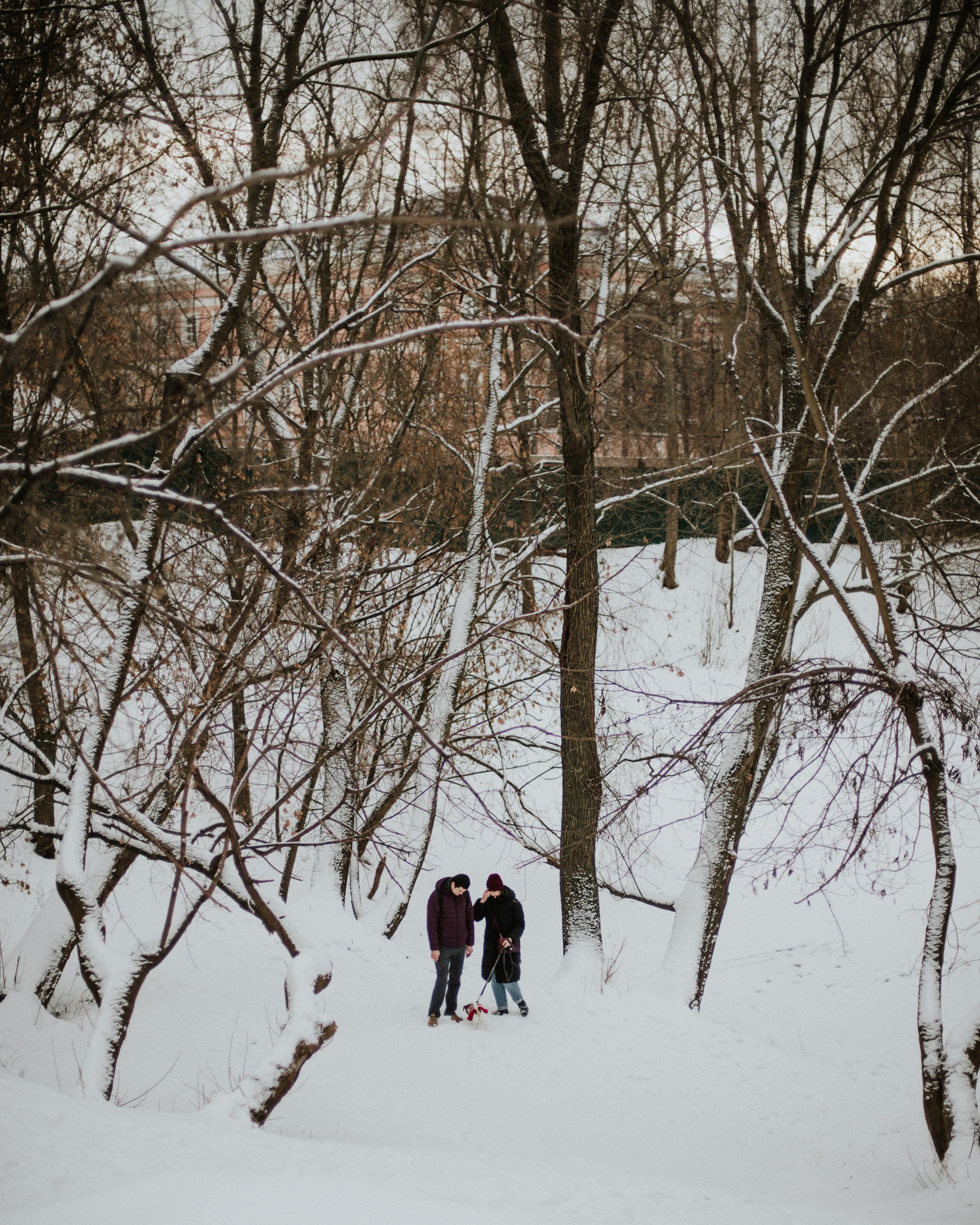 a couple walking a dog on a snow covered park