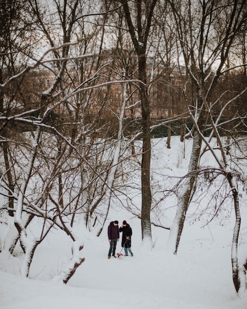 A Couple Walking a Dog on a Snow Covered Park