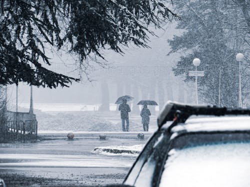 無料 冬, 歩く, 降雪の無料の写真素材 写真素材