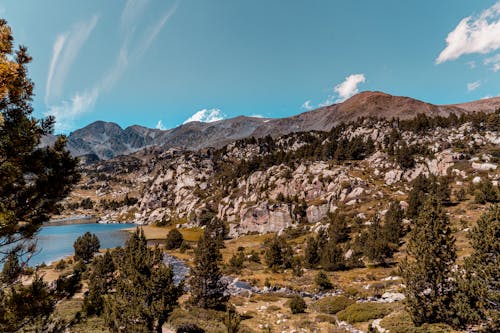 Green Trees on Rocky Mountains under the Blue Sky