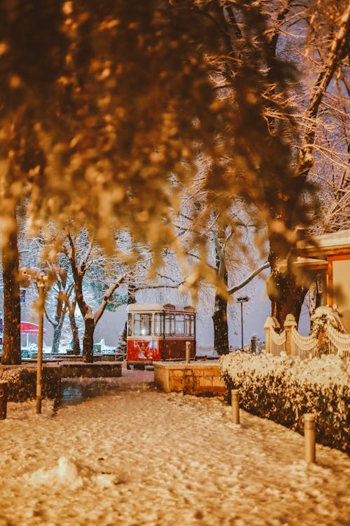 Foto profissional grátis de inverno, lugar público, parque