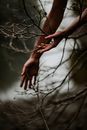 Hands among Barren Branches