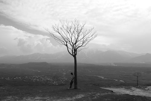 A Man Leaning to the Bare Tree Under Cloudy Sky