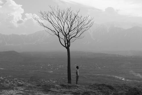 Man Standing on Leafless Tree in Grayscale Photography