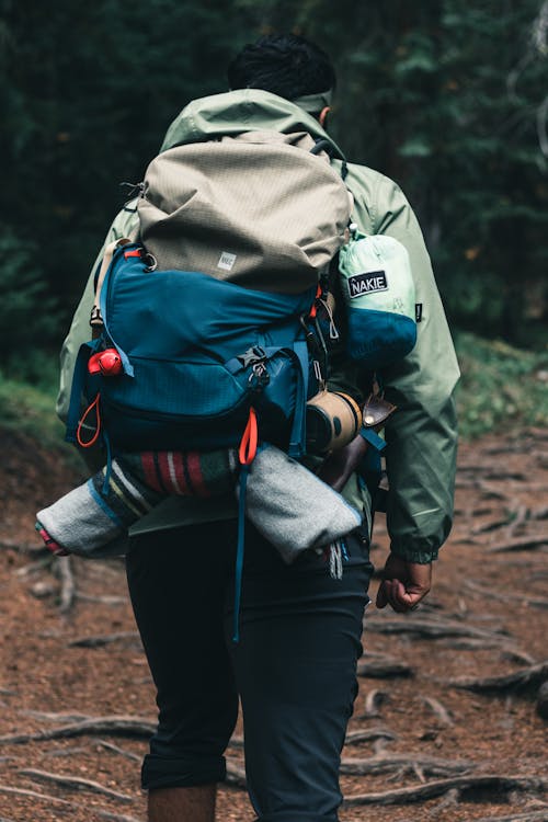 Kostenloses Stock Foto zu person, rückansicht, rucksack