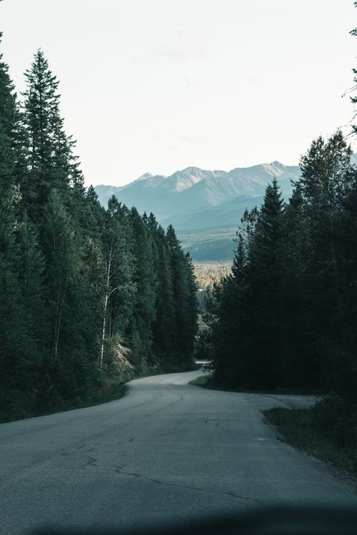 Free Serene road through lush forests with mountain views in Golden, BC. Stock Photo