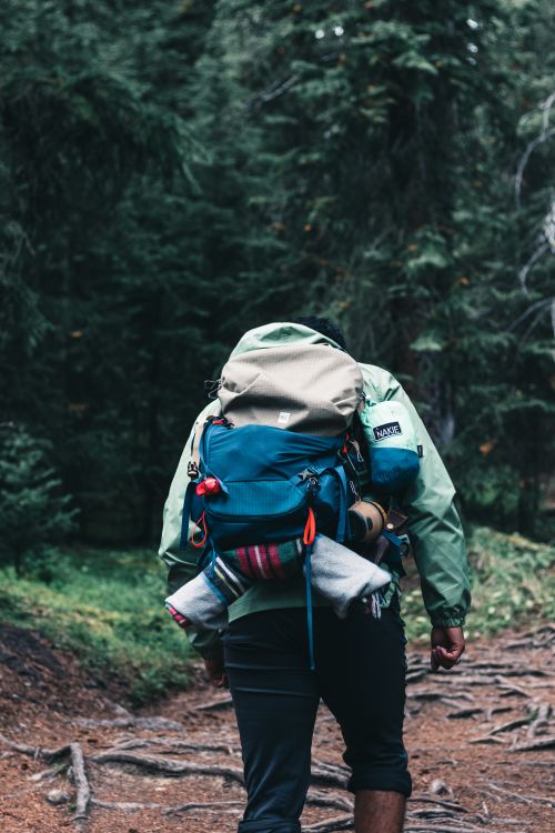 Free A lone hiker traverses a forest trail in the Canadian wilderness, showcasing adventure and exploration. Stock Photo