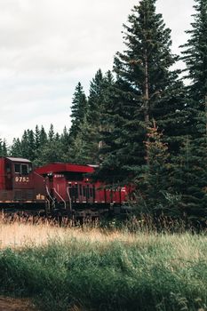 A red train moves through a dense green forest in Alberta, Canada, showcasing nature and transportation harmony.