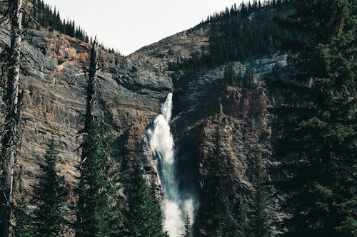 Foto d'estoc gratuïta de bell paisatge, cascada, medi ambient