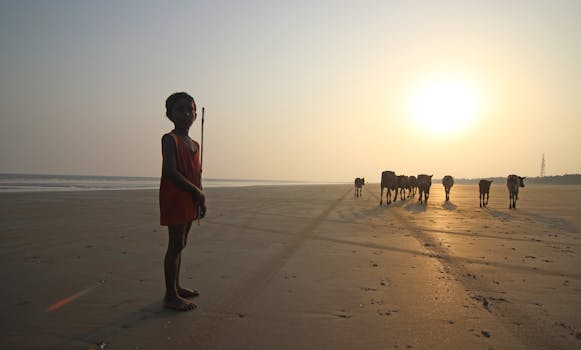 A child stands on a beach with cattle in the background during a serene sunset.