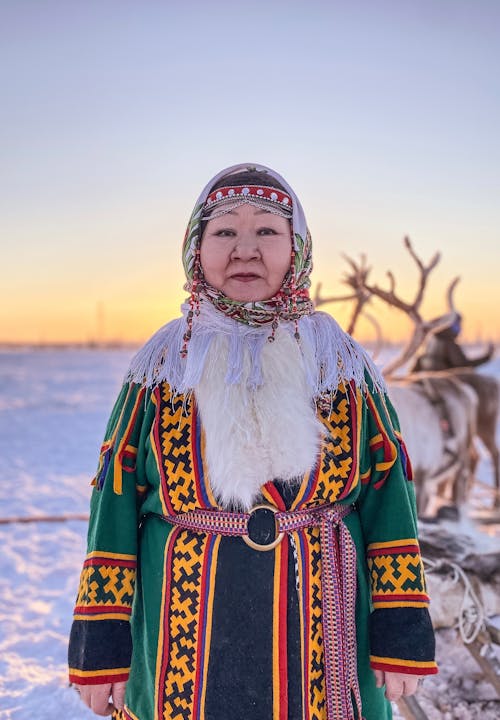 Foto d'estoc gratuïta de disfressa tradicional, dona, foto vertical