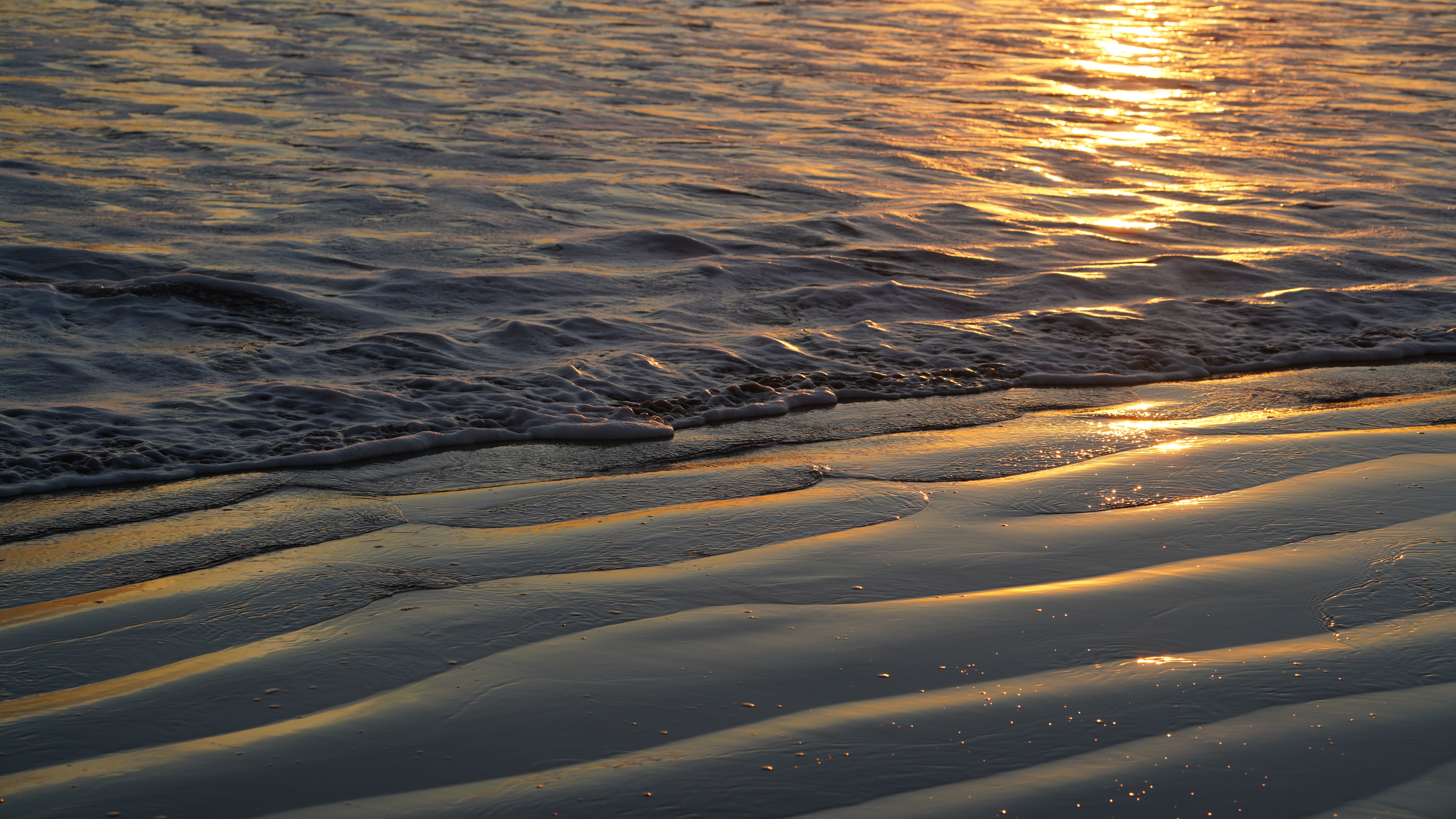 Sunlight Reflecting in the Sea Surface · Free Stock Photo