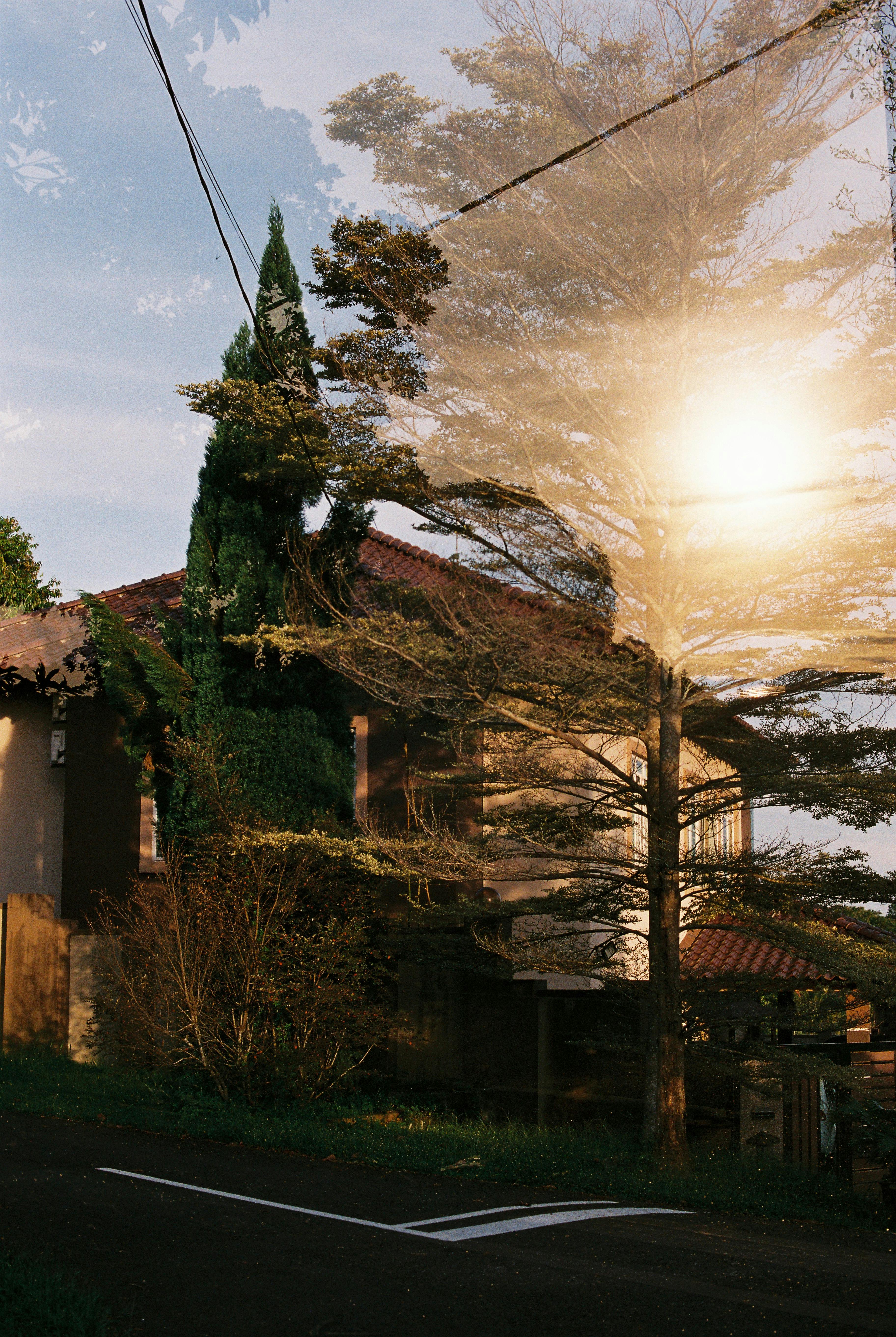 brown wooden house near bare trees under cloudy sky