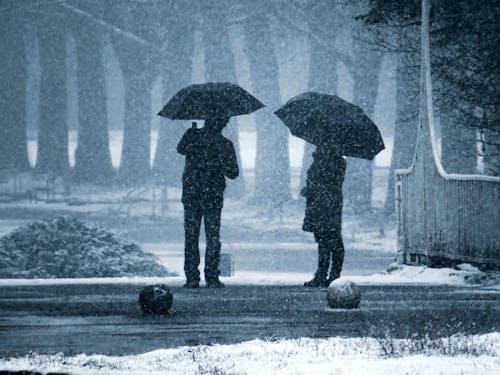 Základová fotografie zdarma na téma deštníky, dlažba, lidé