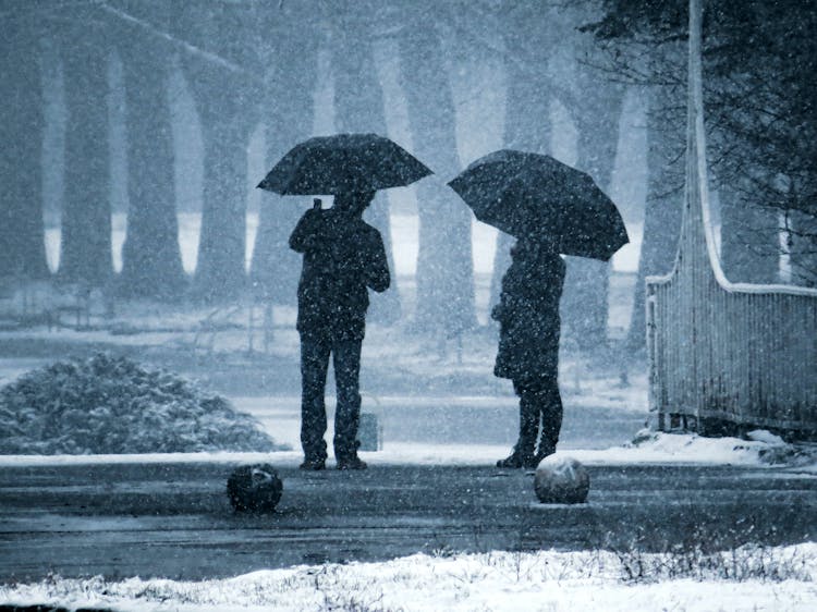 Person In Black Coat Holding Umbrella Walking On Snow Covered Ground