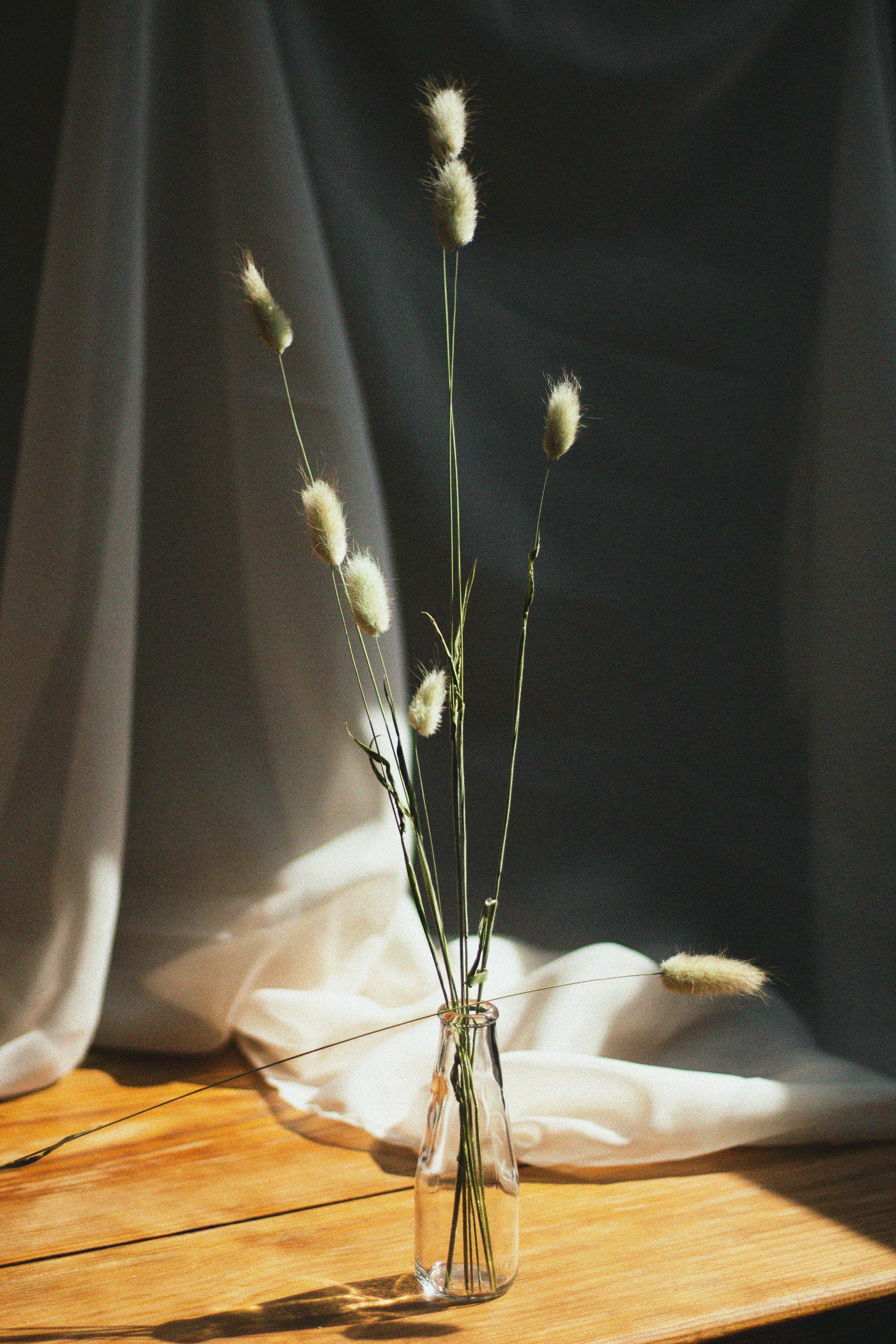A minimalist still life featuring a dried plant displayed in a clear glass bottle against a soft, draped background.