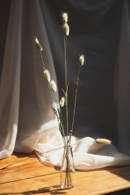 Still Life with Plant in Bottle